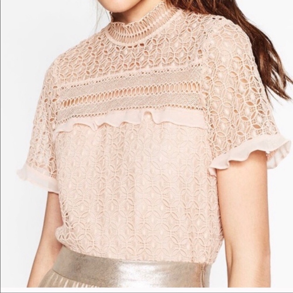 💗NWT Zara- Crochet blush top
